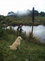 /album/fotogaleria/investigacion-revelando-nuestra-identidad-jpg/